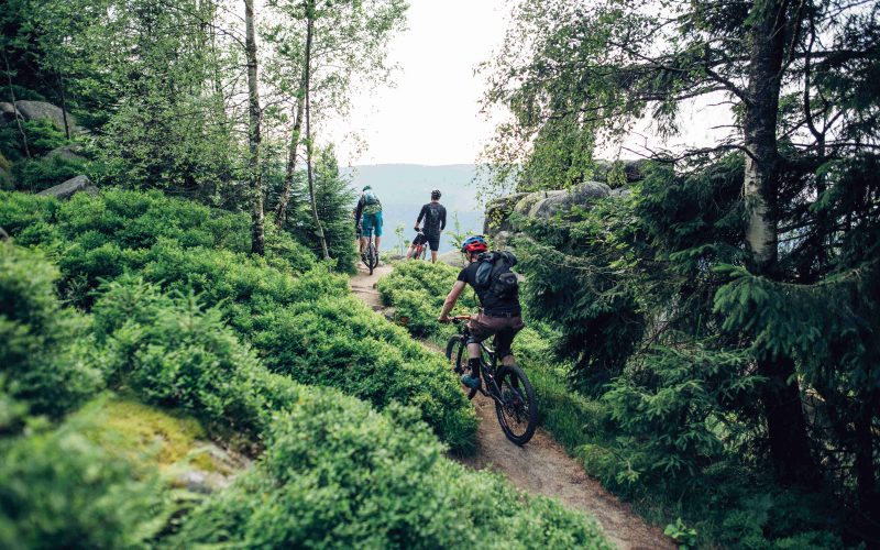 Mountain biking in the Harz Mountains (Photo: Christian Kreutzmann)