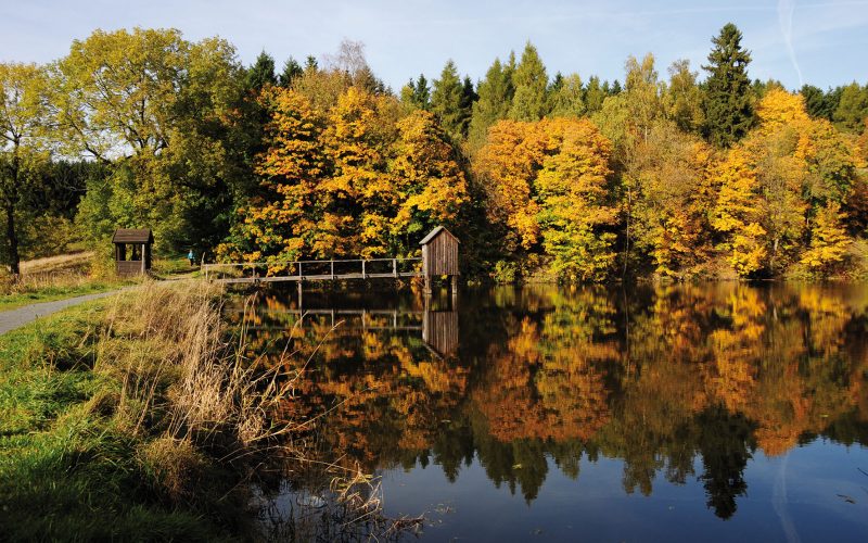 Nature around Clausthal-Zellerfeld (Photo: Astrid Abel)