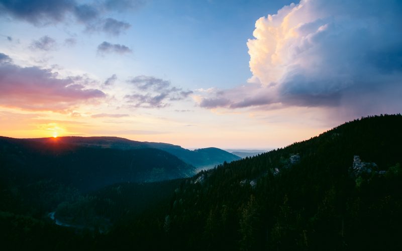 Harz Mountains (Photo: Astrid Abel)